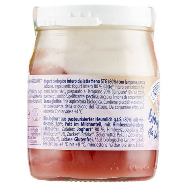 Sterzing Vipiteno bio yogurt da Latte fieno lamponi senza Lattosio 150 g