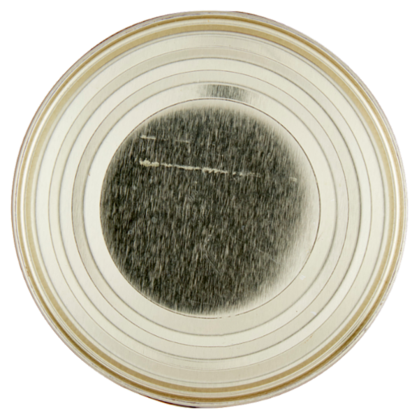 Vital nature Bio Borlotti 400 g