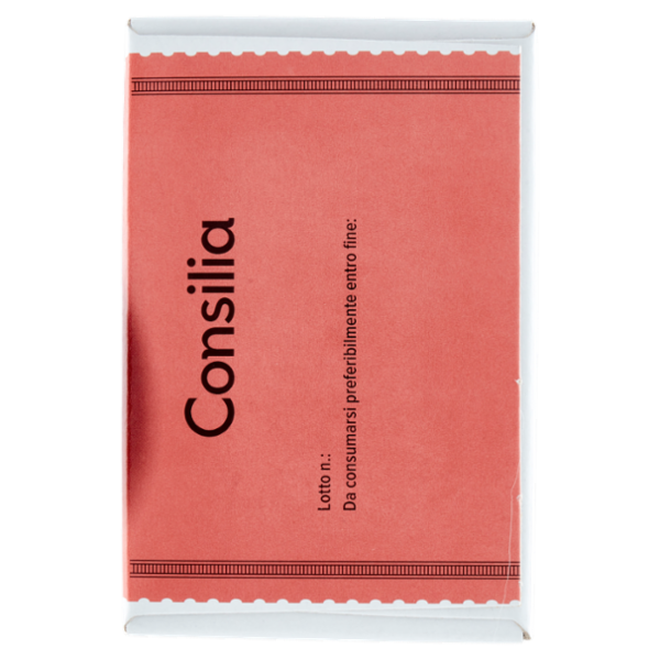 Consilia 2 Tartufi Neri di Gelato Cioccolato Extra Fondente 160 g