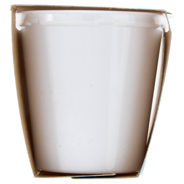 Selex Yogurt Magro Frutti di Bosco 2x125 g