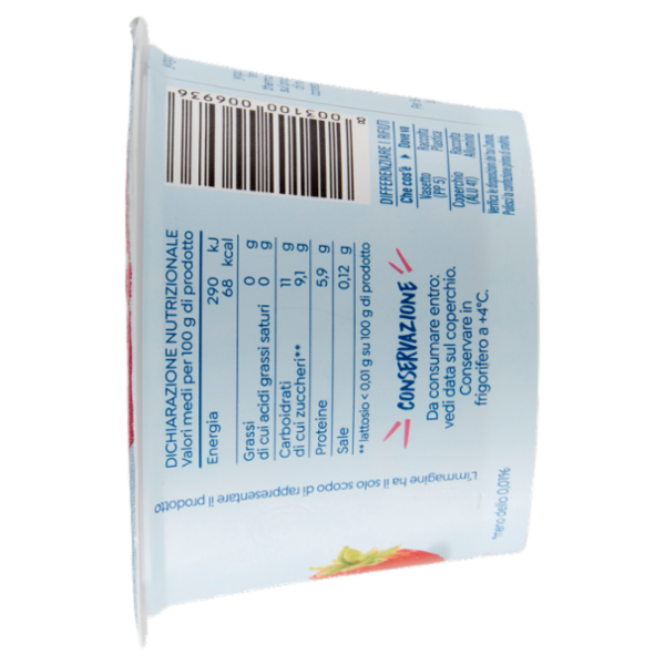 Selex Vivi Bene Yogurt Greco Frangola Senza Lattosio 150 g