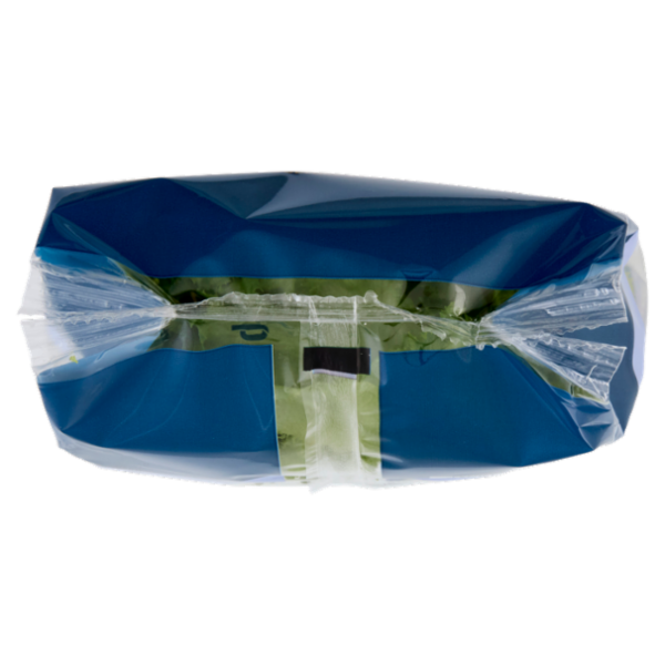 Consilia Optima Lattuga Riccia Lavata e Pronta per il Consumo 100 g