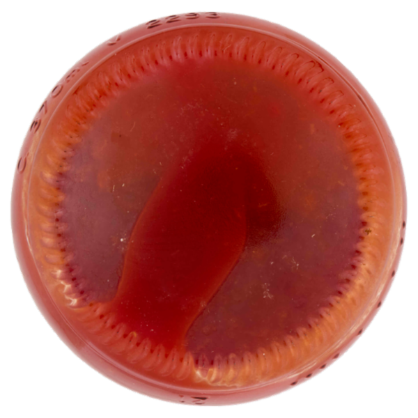 Consilia Passata di Pomodoro 340 g