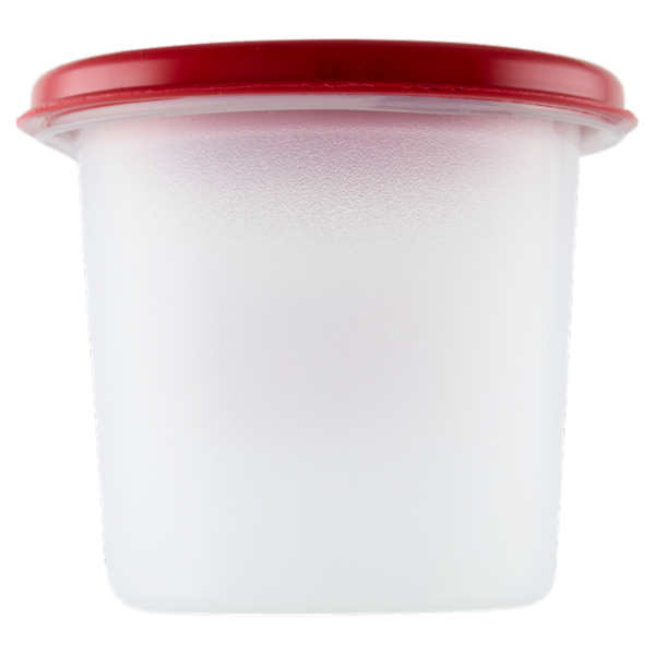 Selex Contenitore per Alimenti Freezer/Frigo Tondo 0,35 L