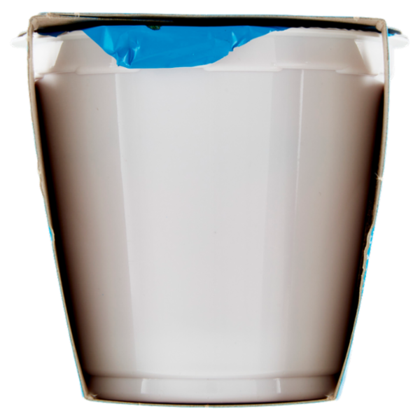 bella vita free Senza Lattosio Ribes, Mirtillo e Melograno 2 x 125 g