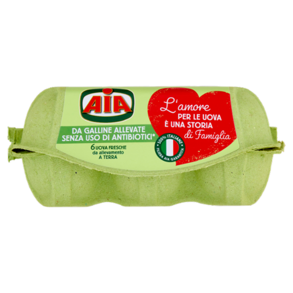 Aia 6 Uova Fresche da allevamento a Terra 330 g