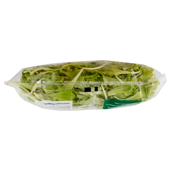 IL GIGANTE le Insalate Lattughino 180 g