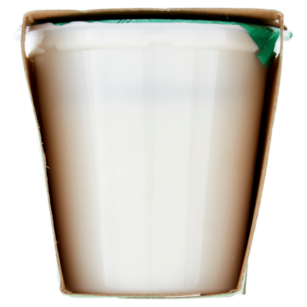 Arborea Yogurt Zero Grassi Ananas in pezzi 2 x 125 g