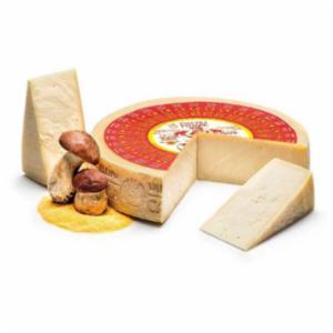 Pascoli Del Fattore Formaggio Casera DOP Valtellina Da Banco