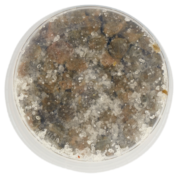 Sù Capperi al Sale 1 kg