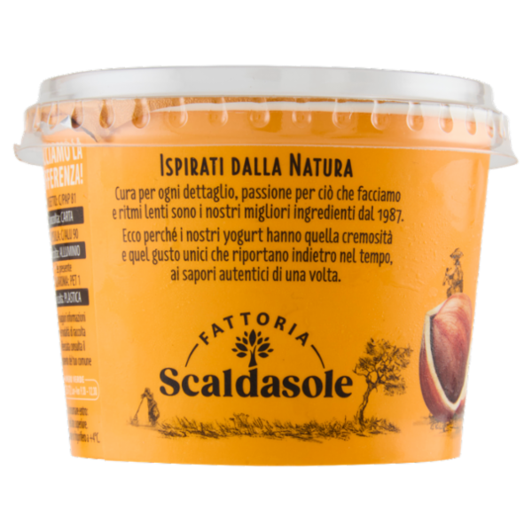 Fattoria Scaldasole Nocciola yogurt biologico 250 g