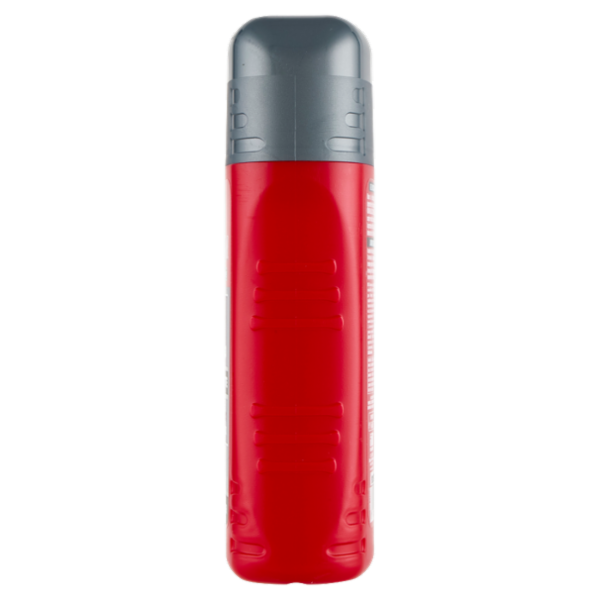 Intesa Pour Homme Gel Doccia Shampoo Rigenerante Essence Power 250 mL