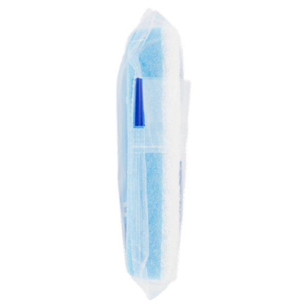 Selex Casa Bella Spugne Abrasive Antigraffio Doppio Uso 2 pezzi