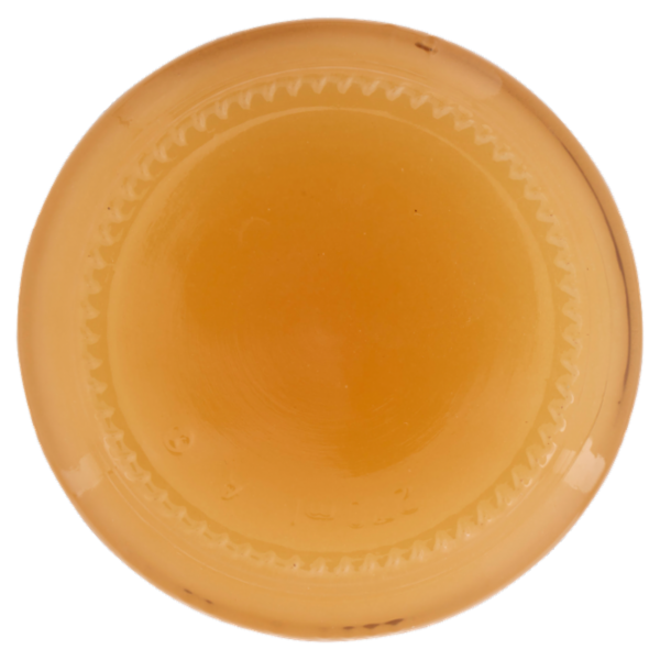 Mielizia Bio Miele Italiano di Clementino non Pastorizzato Italia 300 g