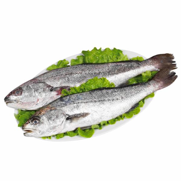 Ombrina Italia Antibiotic Free Cal. 1+