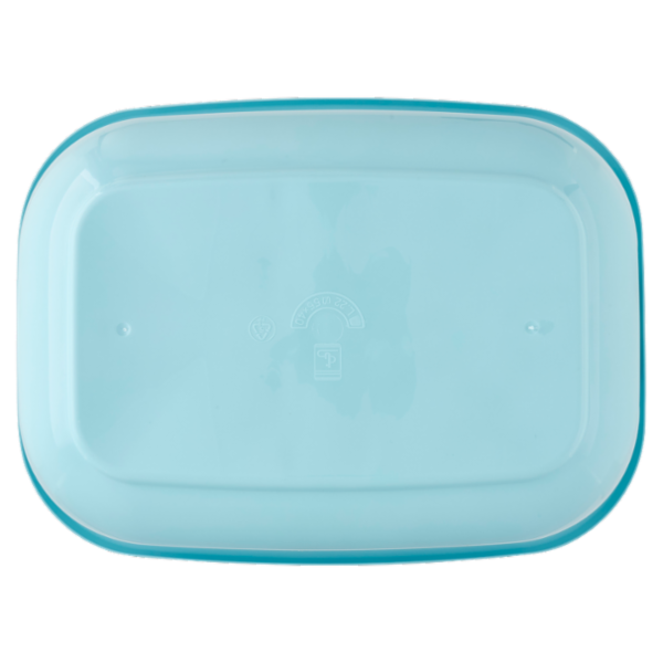 Selex Bacinella Ovale Azzurro 22 L