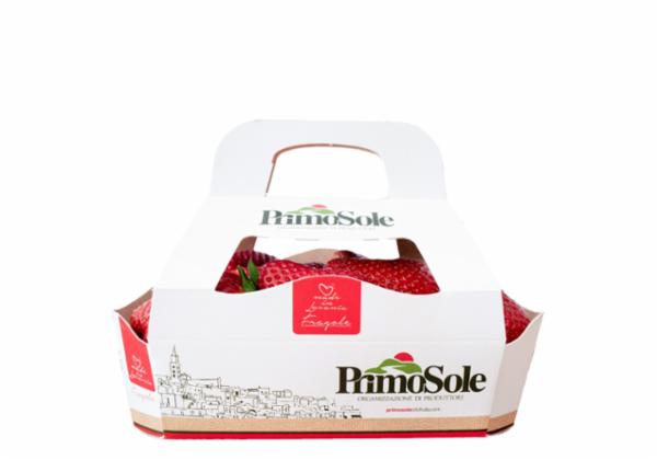 FRAGOLE MADE IN LUCANIA 500G.
