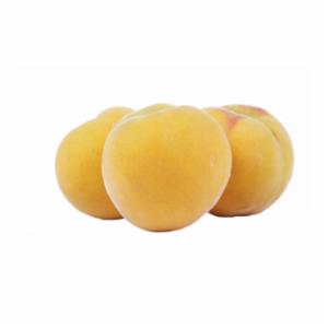 Pesche Percoche Spagna