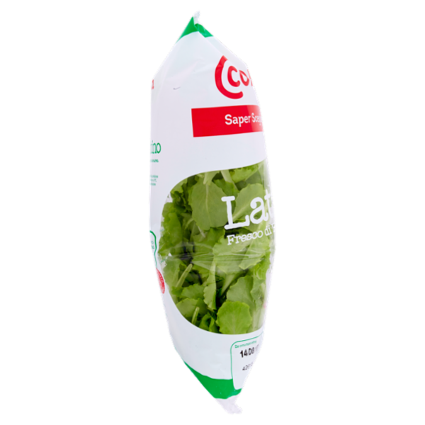 Consilia Saper Scegliere Lattughino 125 g