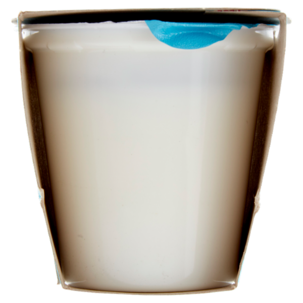 Latteria Brunico Yogurt Magro Zero Grassi Bianco 2 x 125 g