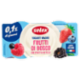 Selex Yogurt Magro Frutti di Bosco 2x125 g