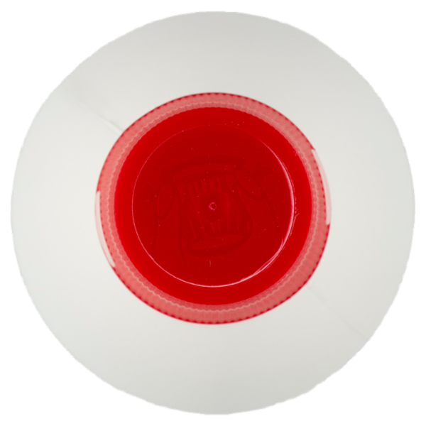 Consilia Detergente Casaform Profumato Bergamotto 1 L