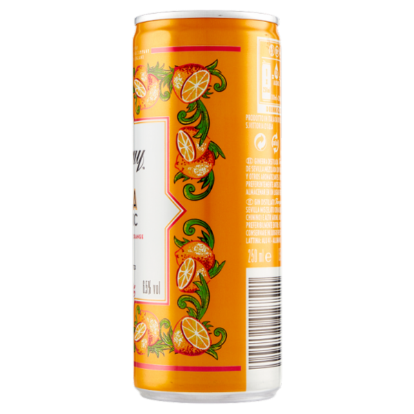 Tanqueray Flor De Sevilla Gin & Tonic 250 ml