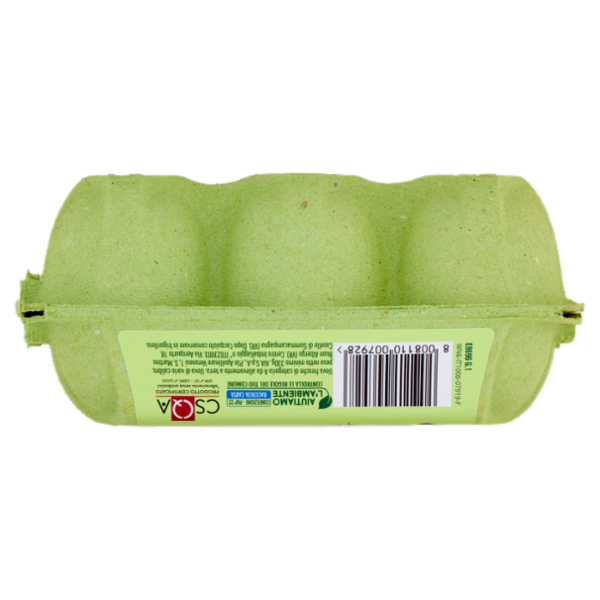 Aia 6 Uova Fresche da allevamento a Terra 330 g