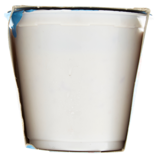 Selex Yogurt Magro Prugne e Cereali 2x125 g