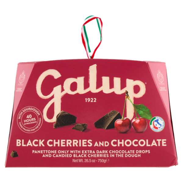 Galup Amarene e Cioccolato 750 g