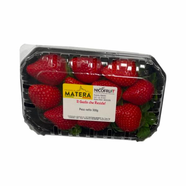Fragole Extra Cs