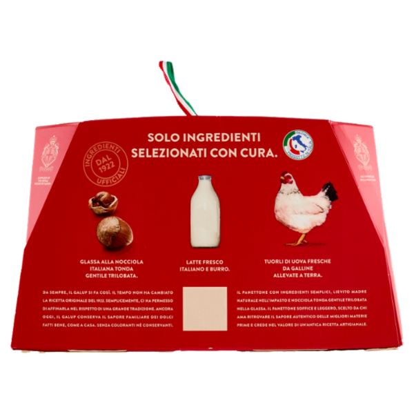 Galup il Panettone Goloso con Glassa alle Nocciole 1000 g
