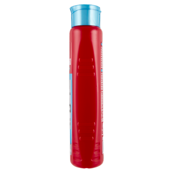 Intesa Pour Homme Shampoo Antiforfora Fresh 300 mL