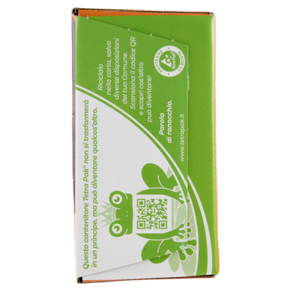 Valfrutta i Triangolini Albicocca Italiana succo e polpa Brik 12 x 100 ml