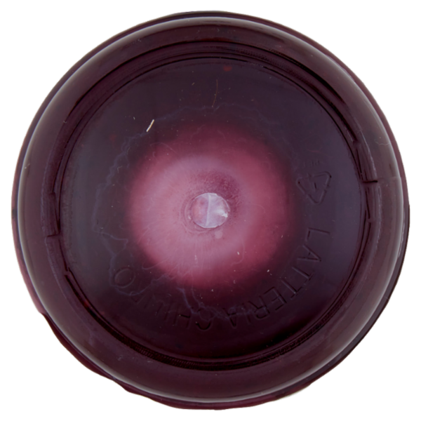 AlpiYò Yogurt di Valtellina Intero con confettura extra di Frutti di Bosco 125 g