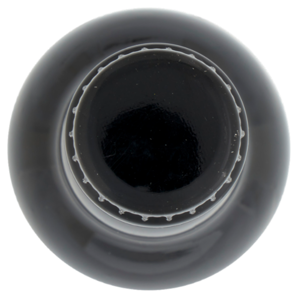 Le Vie Del Luppolo Birra Artigianale Red Ale 33 cl