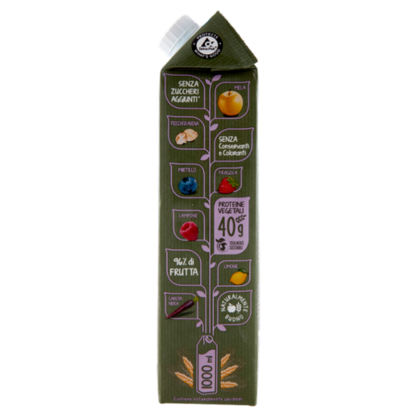 Valfrutta Frullato Proteico Mela Bosco Avena 1000 ml