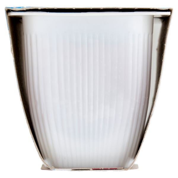 Valsoia Bontà e Salute il Budino Caramello 2 x 115 g