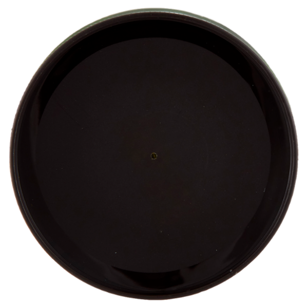 Crastan Bio Cicoria Solubile Biologica 100 g