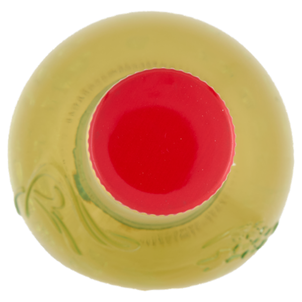 Monari Federzoni gli Artigianali il Nostro Aceto di Vino Forte 500 ml