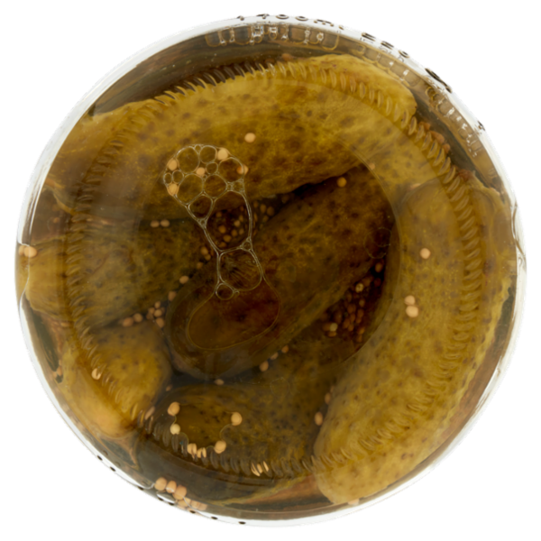 Zuccato Cetrioli agrodolci 1550 g