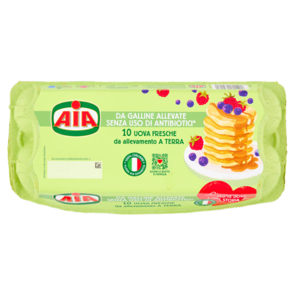 Aia 10 Uova Fresche da allevamento a Terra 530 g