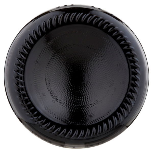 Vecchia Modena Lambrusco di Modena DOC 75 cl