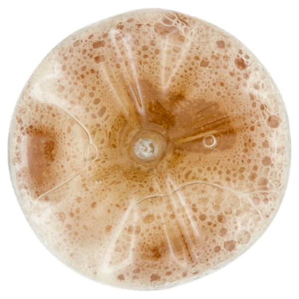 Estathé zero pesca 330 ml