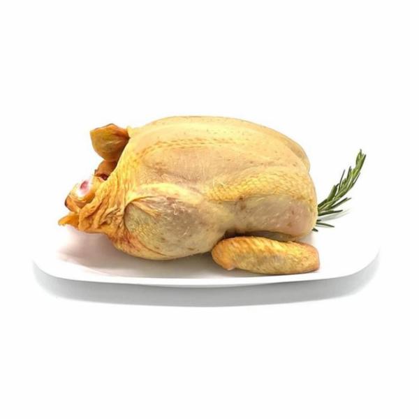 Pollo Busto da Banco