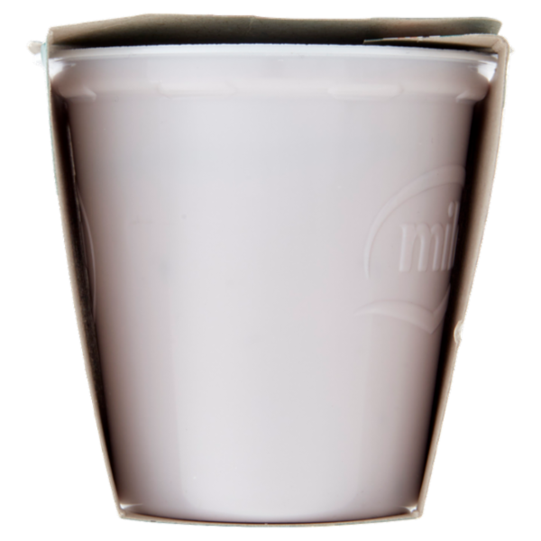 mila Yogurt Intero Frutti di bosco 2 x 125 g