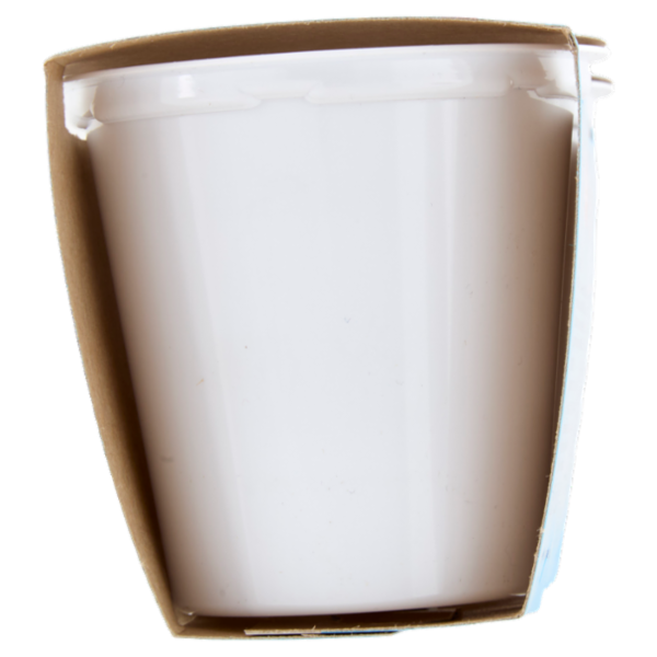 Selex Yogurt Magro Vaniglia 2x125 g