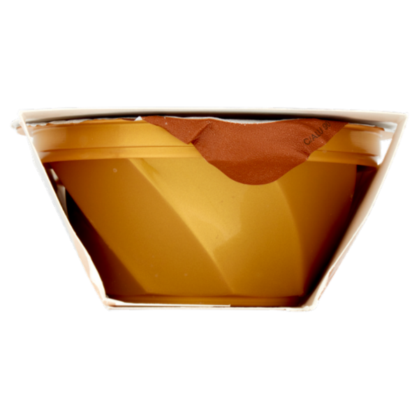 dolfin sensofreddo la granita siciliana Caffè 100% Arabica 2 x 100 ml