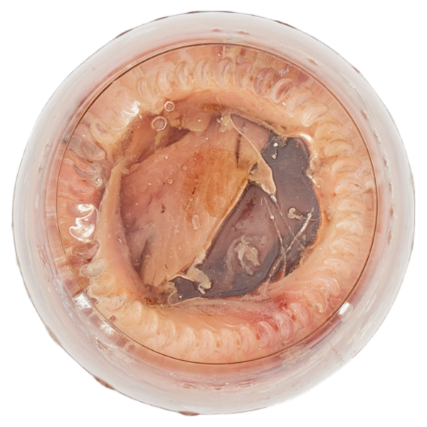 Consilia Filetti di Alici all'Olio di Oliva 90 g