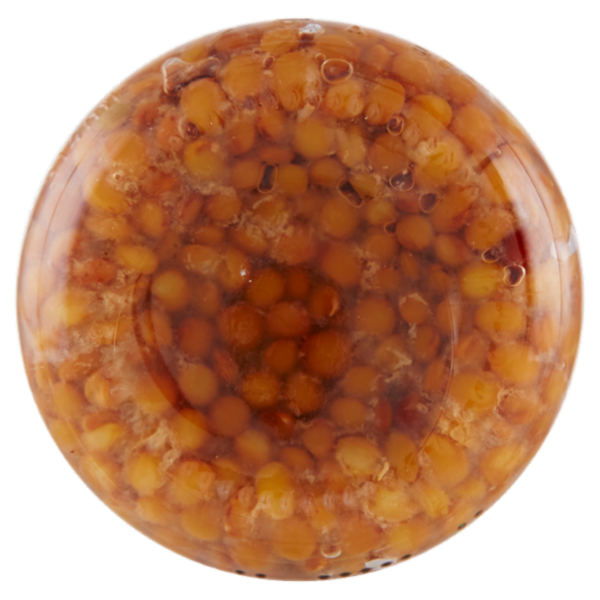 Consilia Scelte dalla Natura Lenticchie Bio 300 g